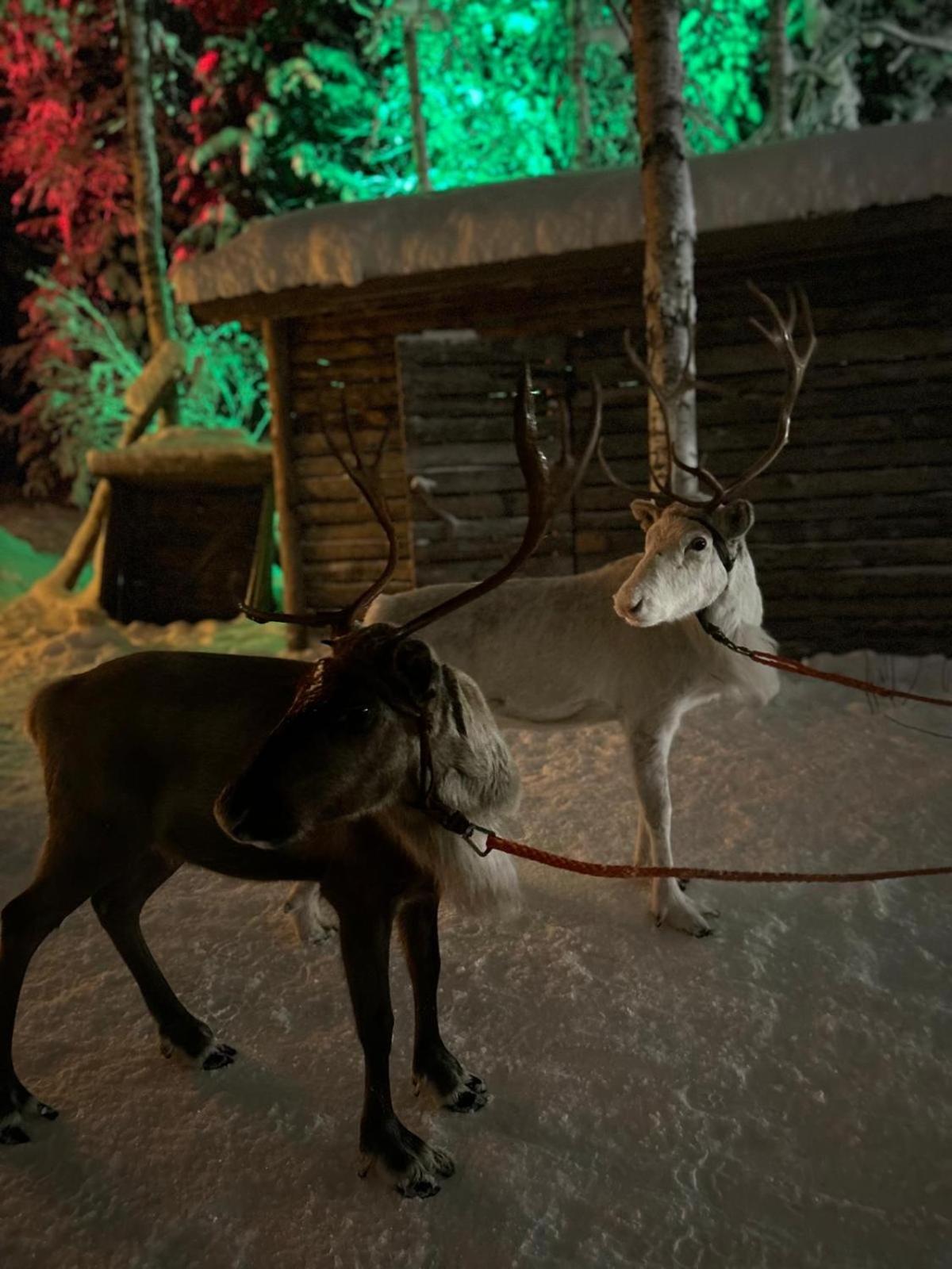 Villa Lapland Reindeer Farm Rovaniemi Exterior photo